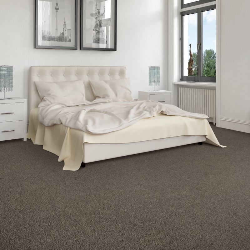 Mendel Carpet & Flooring providing easy stain-resistant pet friendly carpet in Fishers, IN - Exciting Selection I - dreamy